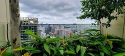 Irwell Hill Residences (D9), Apartment #563309941